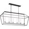 Quoizel Aviary Linear Chandelier AVY654PN - alternate 4
